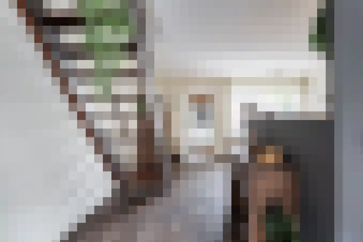 Frenkelpad 18 Schiedam thumbnail 15