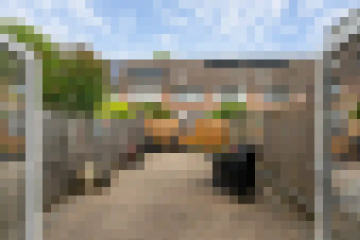 Frenkelpad 18 Schiedam thumbnail 20