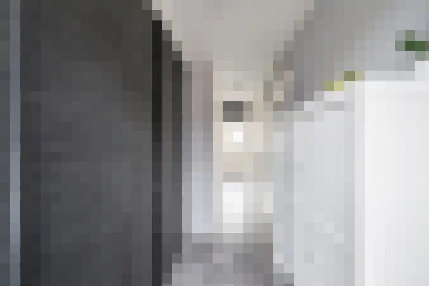 Frenkelpad 18 Schiedam thumbnail 23
