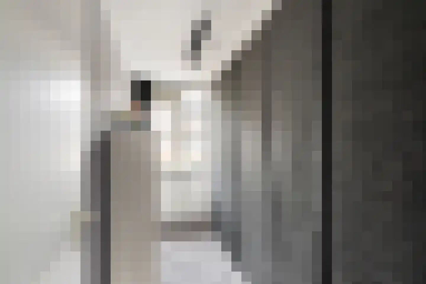 Frenkelpad 18 Schiedam thumbnail 26