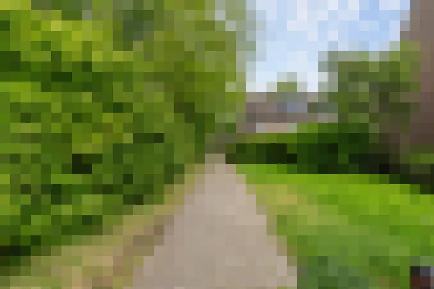 Frenkelpad 18 Schiedam thumbnail 8