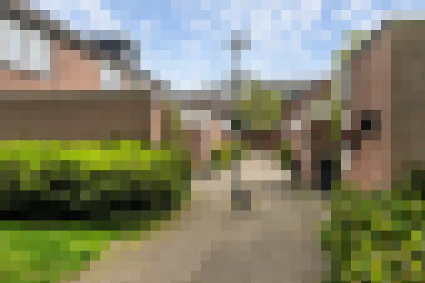Frenkelpad 18 Schiedam thumbnail 9