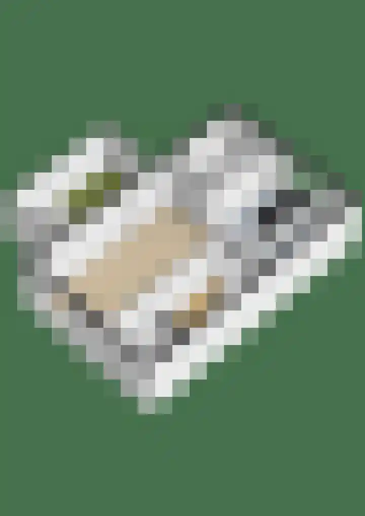 Frenspad 34 Zuidhorn thumbnail 37