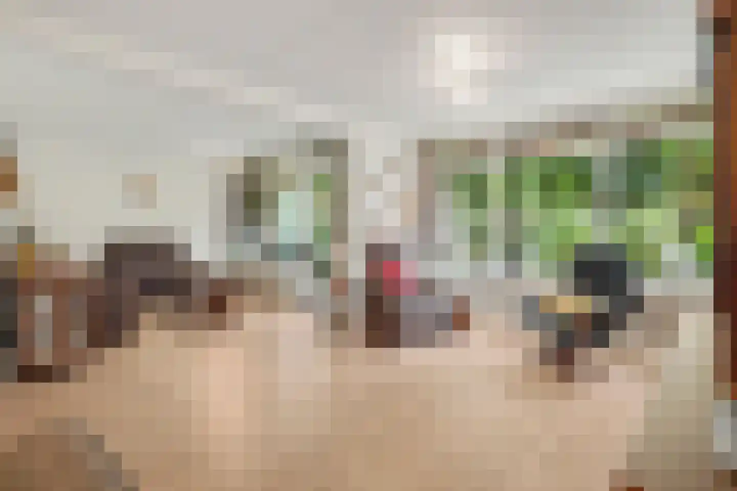 Frerikshof 100 Winterswijk thumbnail 12