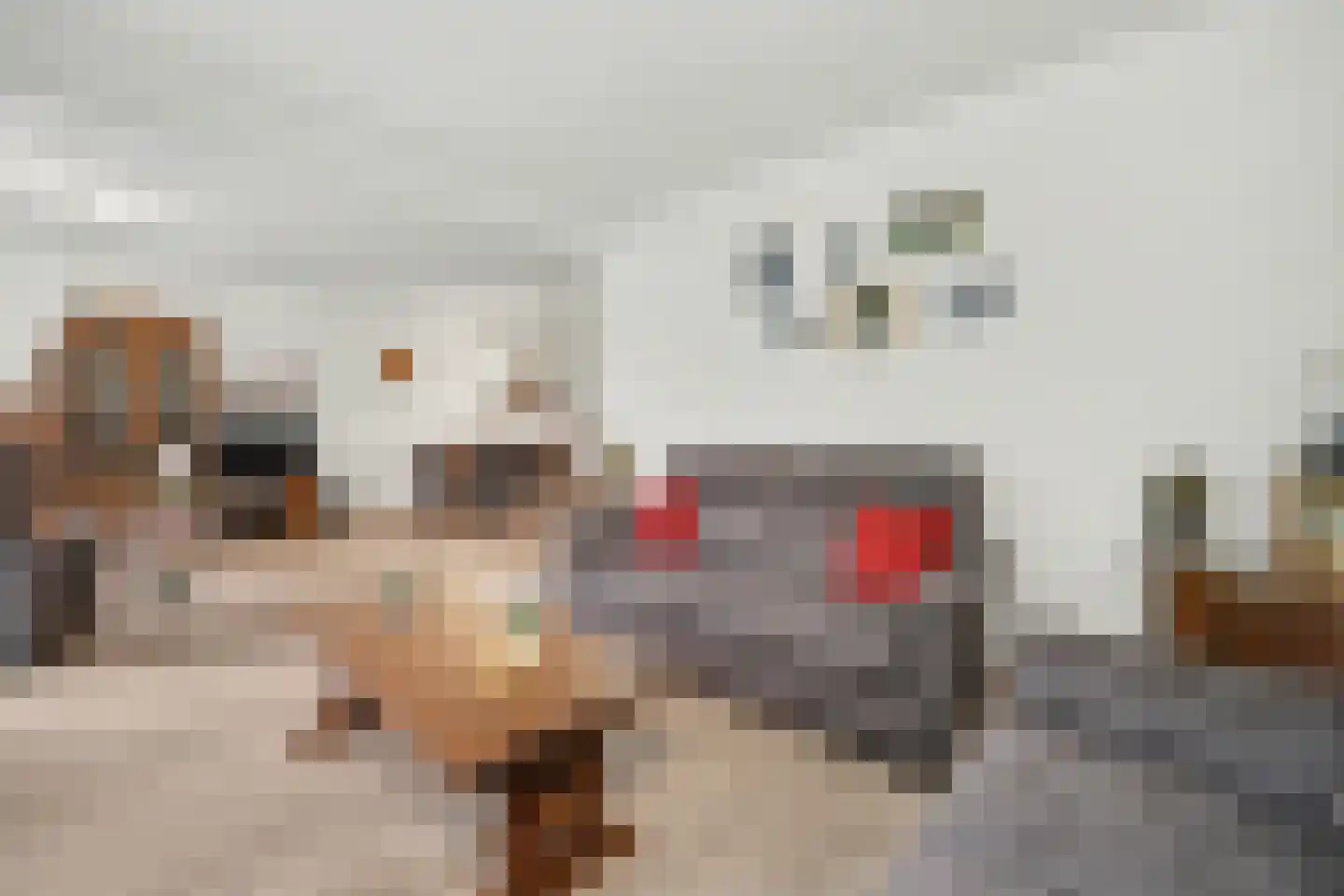 Frerikshof 100 Winterswijk thumbnail 15