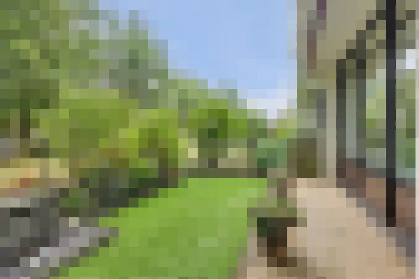 Frerikshof 100 Winterswijk thumbnail 30