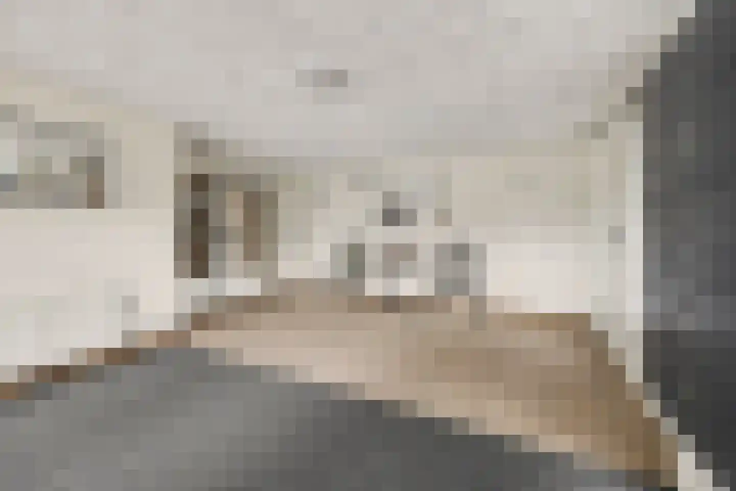 Frerikshof 100 Winterswijk thumbnail 5