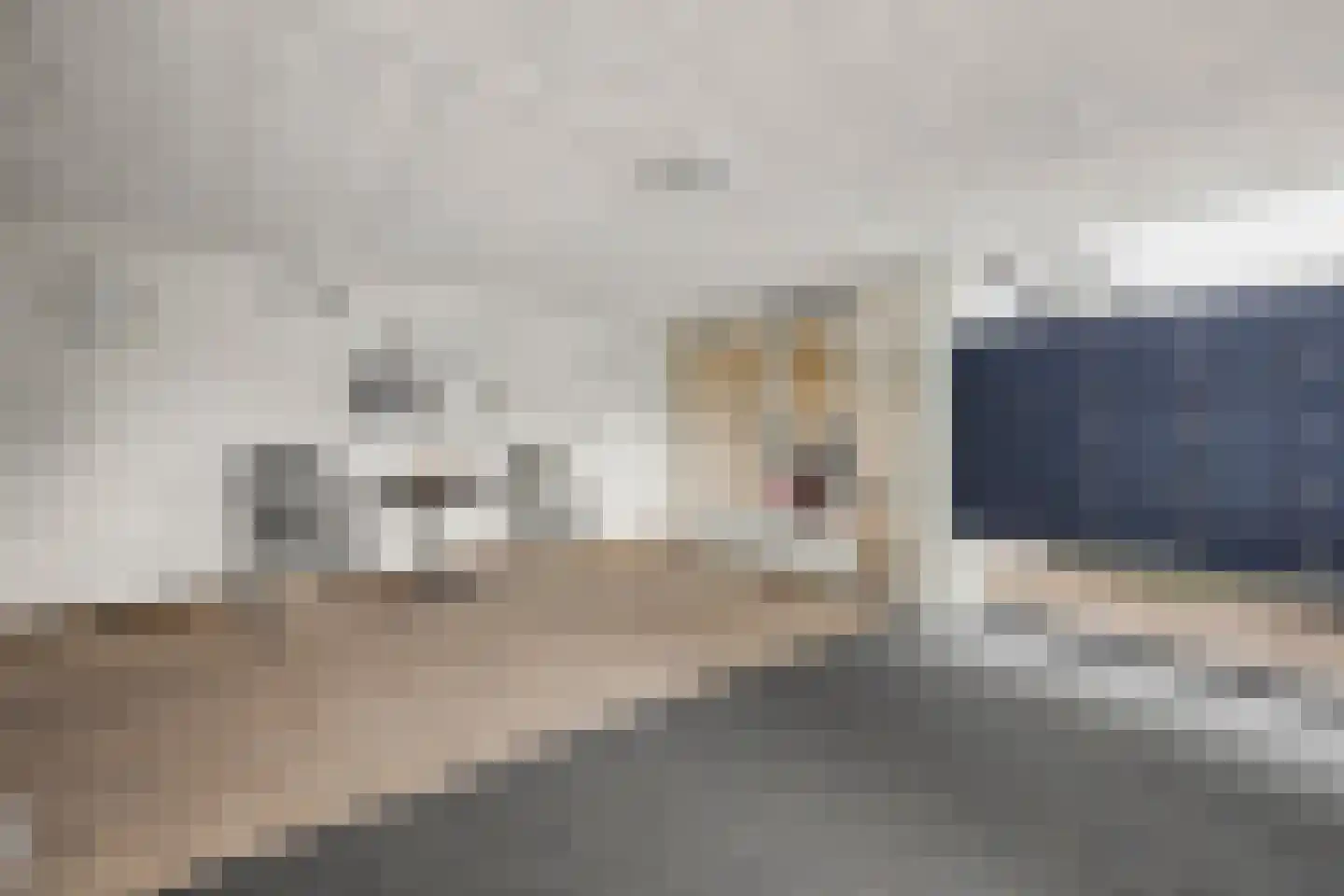 Frerikshof 100 Winterswijk thumbnail 6