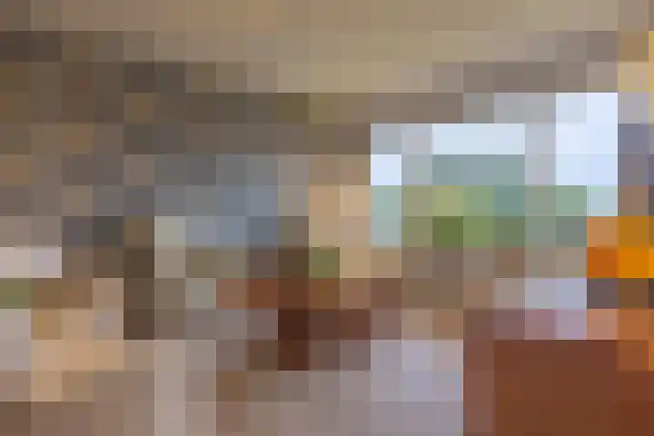 Frerikshof 136 Winterswijk thumbnail 5
