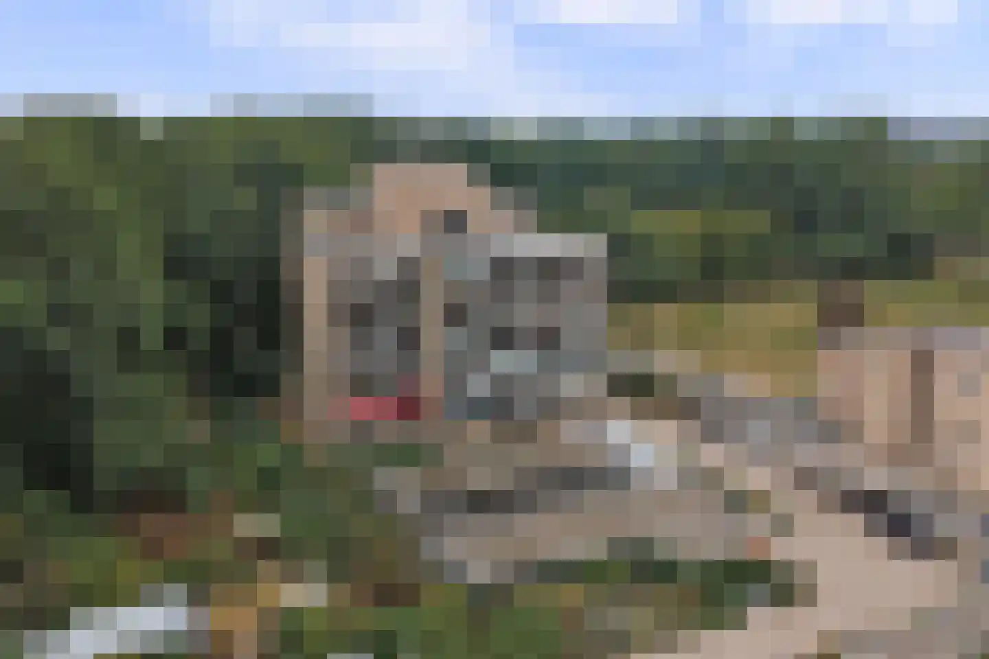 Frerikshof 142 Winterswijk thumbnail 30