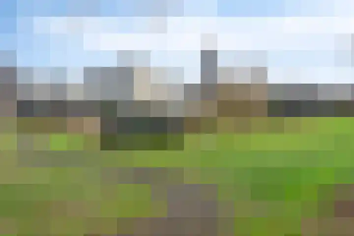 Frerikshof 80 Winterswijk thumbnail 30