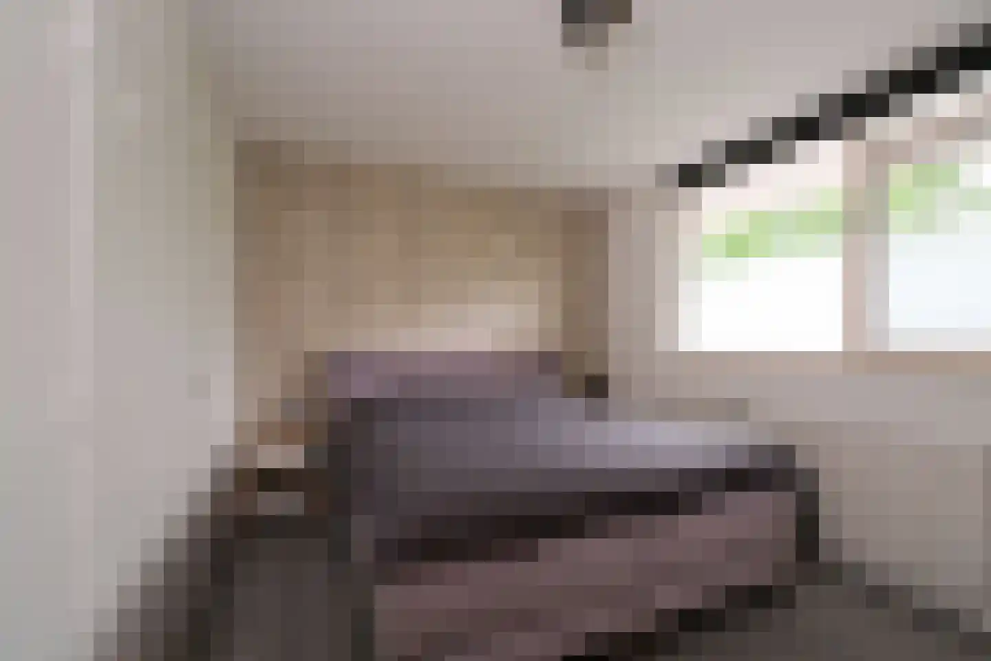 Frerikshuislaan 105 Almelo thumbnail 11