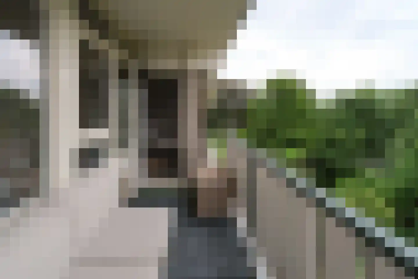 Frerikshuislaan 105 Almelo thumbnail 8