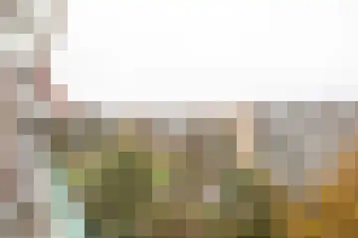 Frerikshuislaan 141 Almelo thumbnail 23