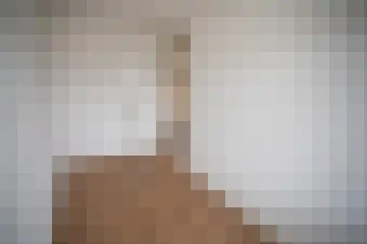 Frerikshuislaan 141 Almelo thumbnail 33