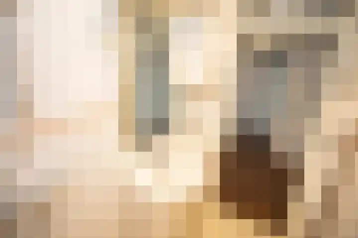 Frerikshuislaan 141 Almelo thumbnail 35