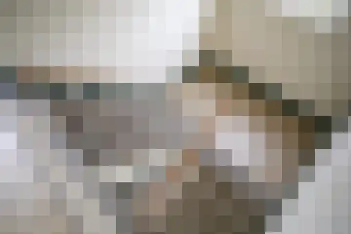 Frerikshuislaan 141 Almelo thumbnail 36