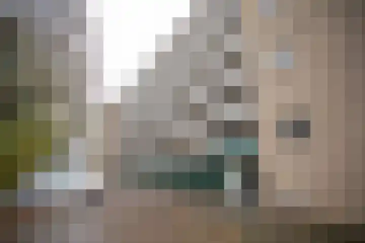 Frerikshuislaan 141 Almelo thumbnail 40