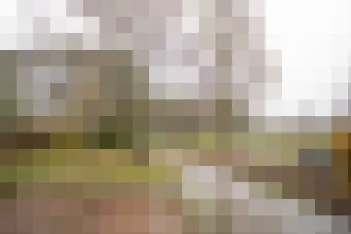 Frerikshuislaan 141 Almelo thumbnail 41