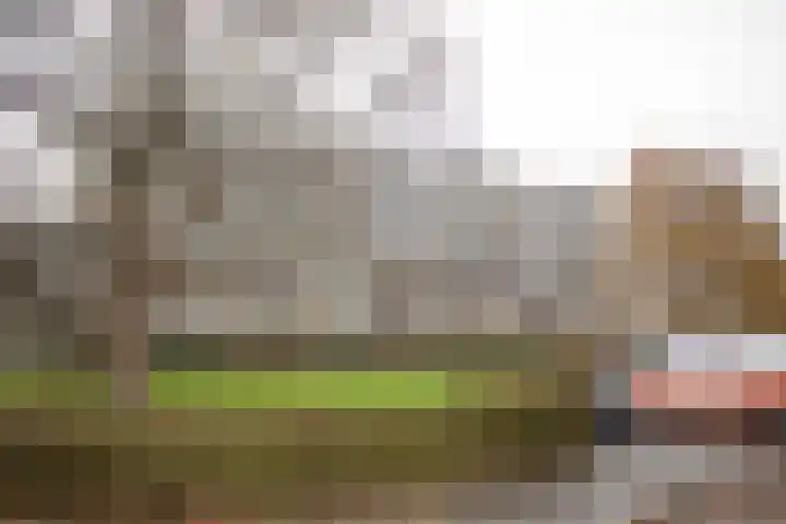 Frerikshuislaan 141 Almelo thumbnail 42