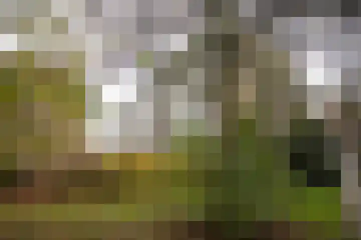 Frerikshuislaan 141 Almelo thumbnail 43