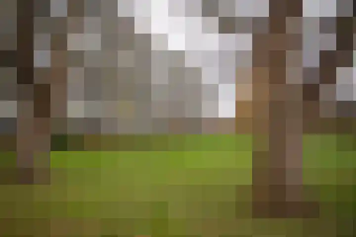 Frerikshuislaan 141 Almelo thumbnail 44