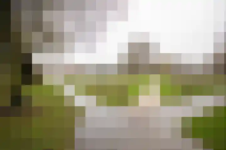 Frerikshuislaan 141 Almelo thumbnail 45