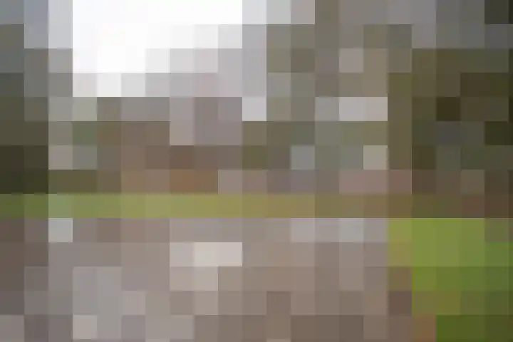 Frerikshuislaan 141 Almelo thumbnail 47