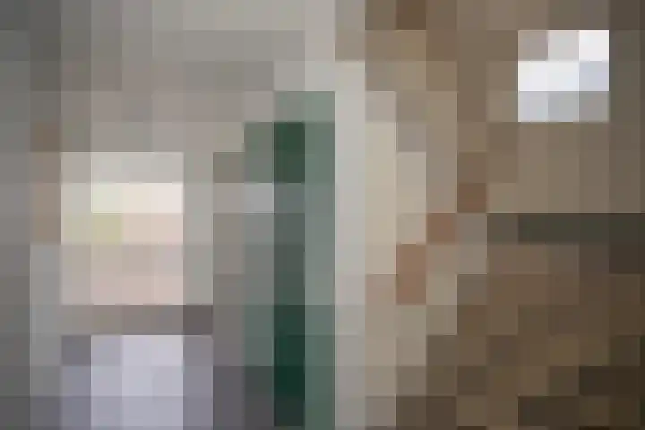 Frerikshuislaan 141 Almelo thumbnail 7