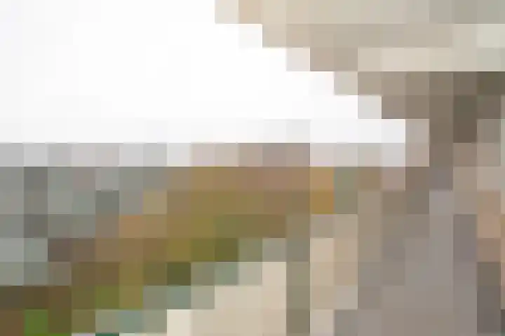 Frerikshuislaan 141 Almelo thumbnail 9