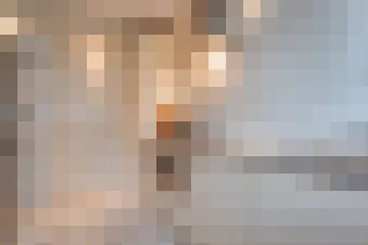 Frerikshuislaan 151 Almelo thumbnail 13