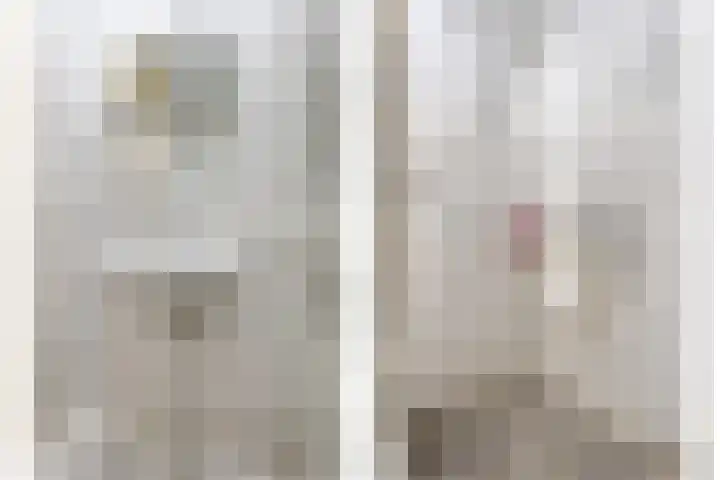 Frerikshuislaan 151 Almelo thumbnail 20