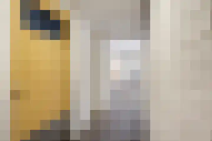 Frerikshuislaan 151 Almelo thumbnail 24