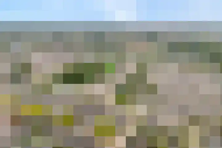 Frerikshuislaan 151 Almelo thumbnail 26