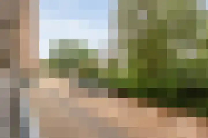 Frerikshuislaan 151 Almelo thumbnail 7