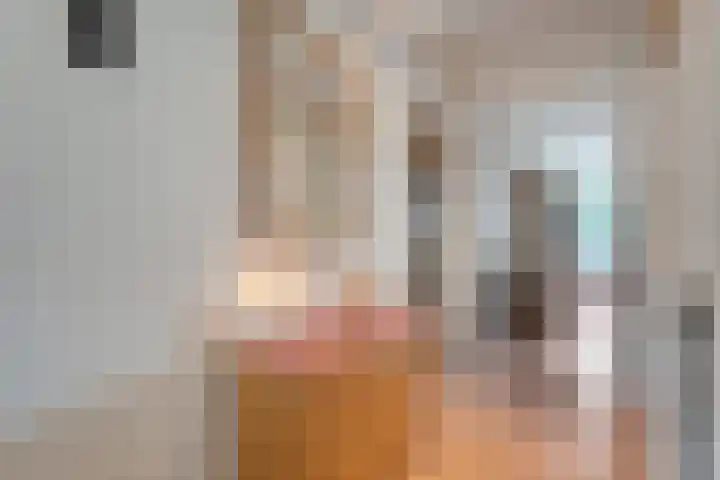 Frerikshuislaan 151 Almelo thumbnail 9