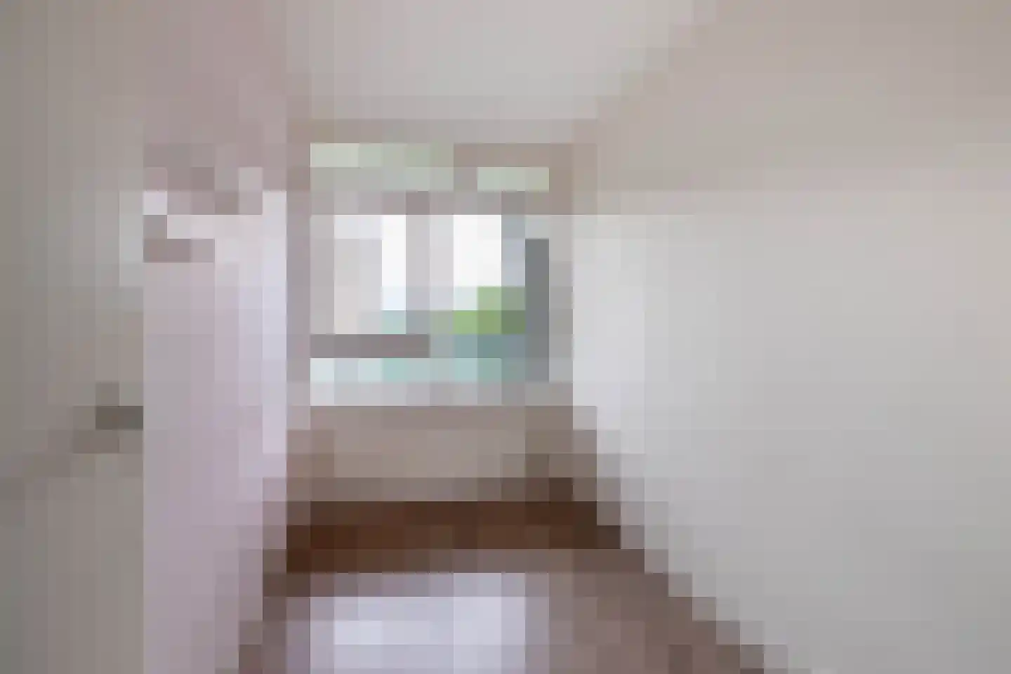 Frerikshuislaan 183 Almelo thumbnail 10