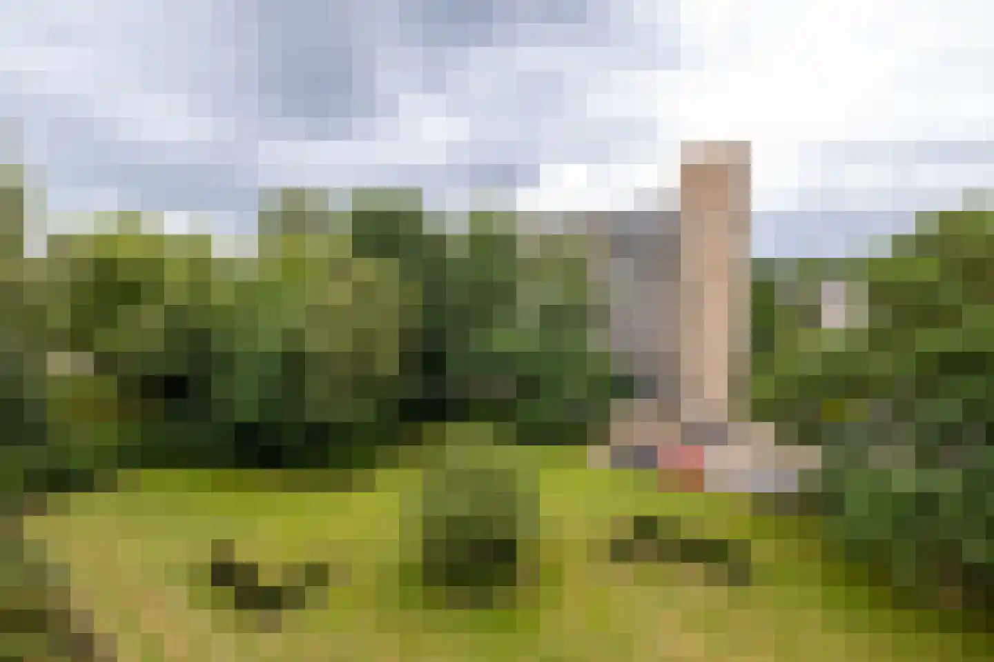 Frerikshuislaan 183 Almelo thumbnail 16