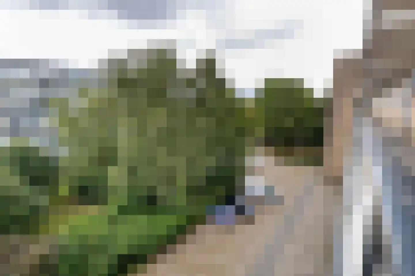 Frerikshuislaan 183 Almelo thumbnail 19