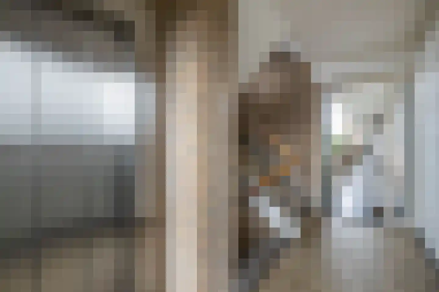 Frerikshuislaan 183 Almelo thumbnail 20