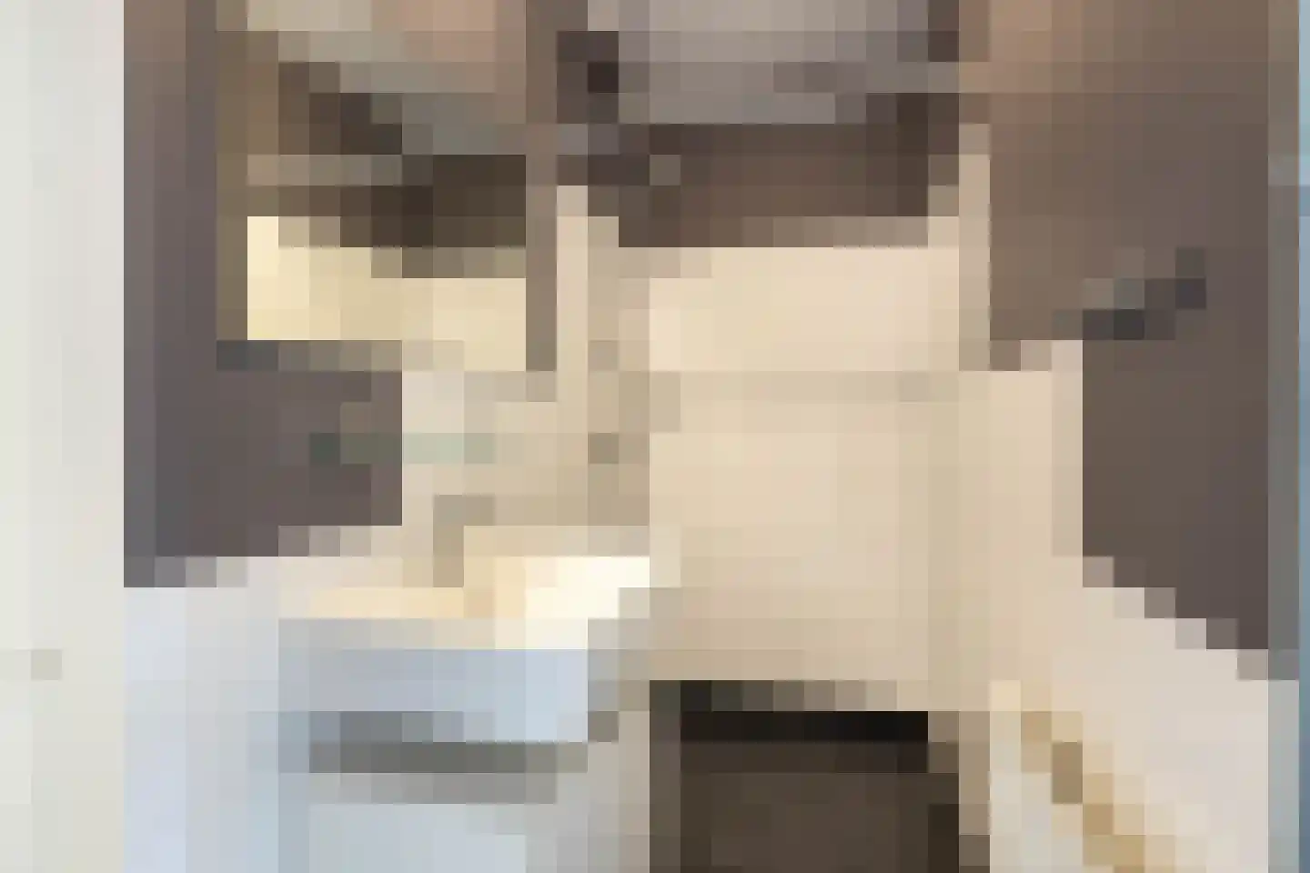Frerikshuislaan 183 Almelo thumbnail 9
