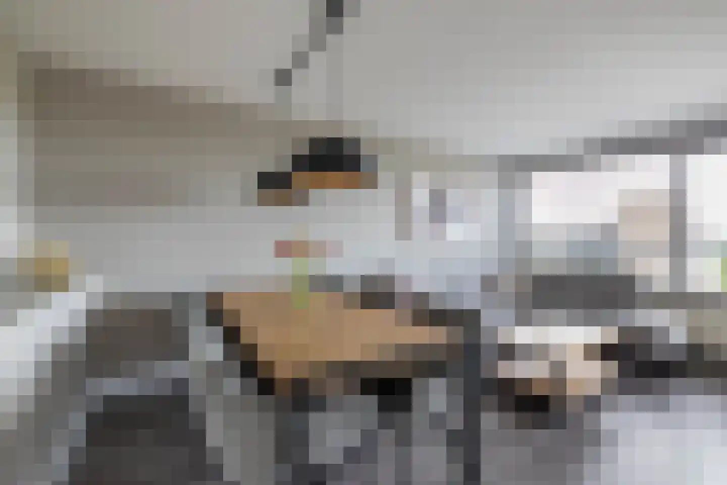 Frerikshuislaan 205 Almelo thumbnail 10