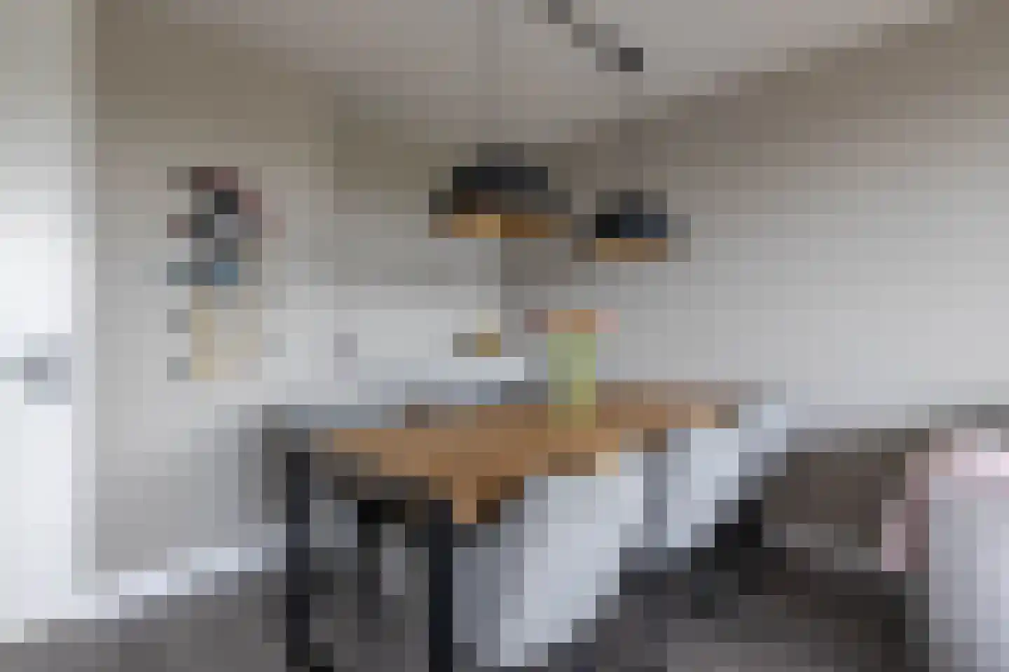 Frerikshuislaan 205 Almelo thumbnail 11
