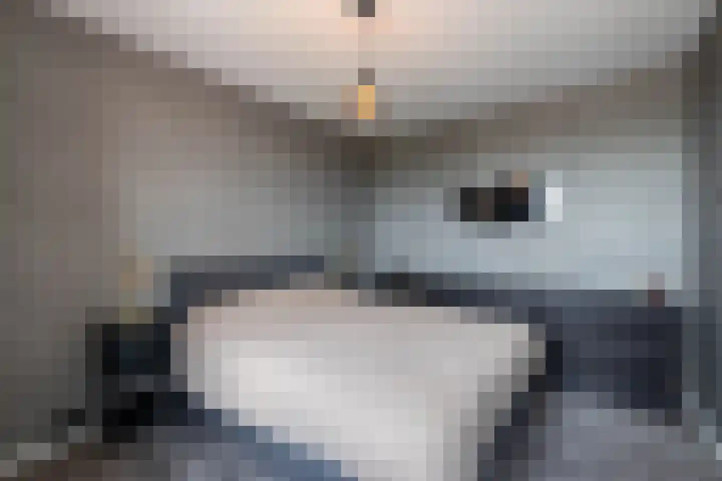 Frerikshuislaan 205 Almelo thumbnail 13