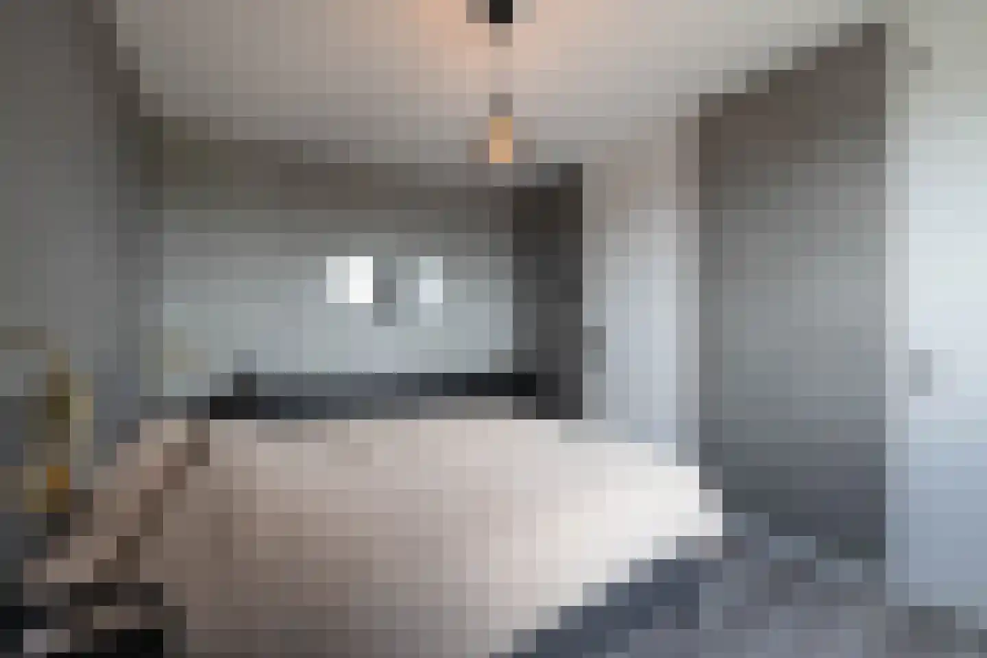 Frerikshuislaan 205 Almelo thumbnail 14