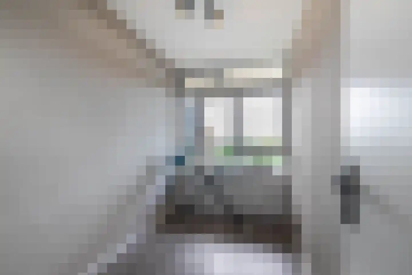 Frerikshuislaan 205 Almelo thumbnail 16