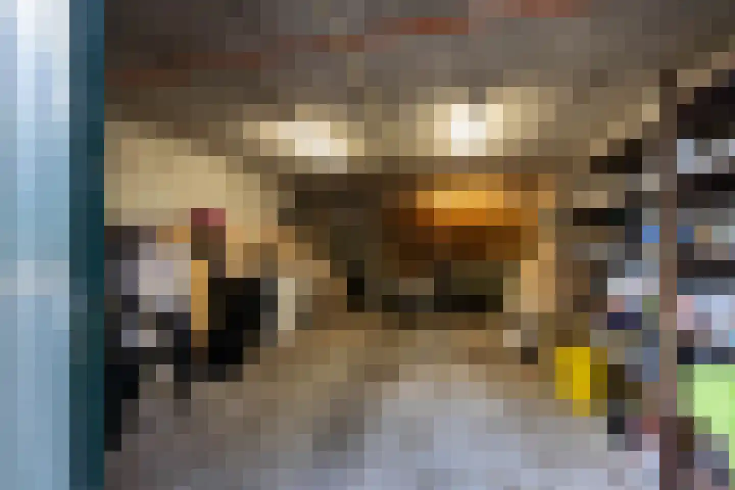 Frerikshuislaan 205 Almelo thumbnail 19