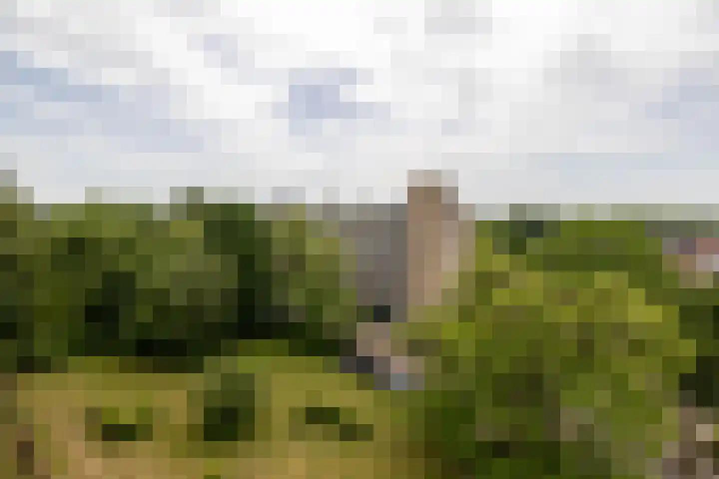 Frerikshuislaan 205 Almelo thumbnail 24