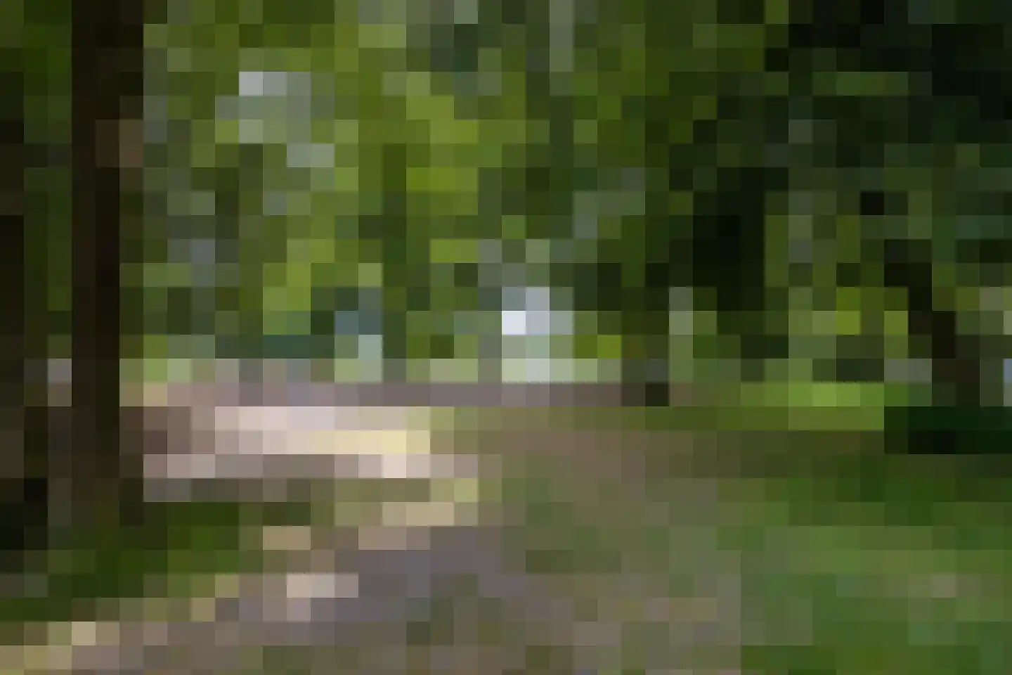 Frerikshuislaan 205 Almelo thumbnail 25