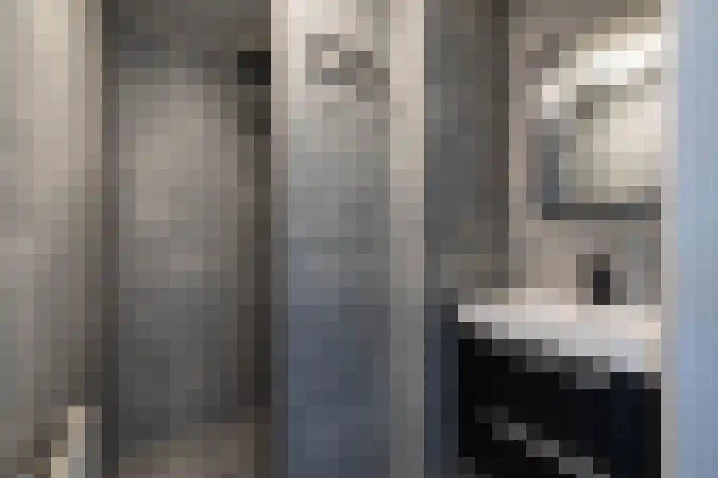 Frerikshuislaan 205 Almelo thumbnail 5